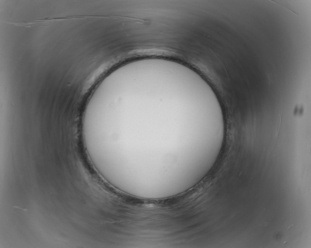 X0000112140111200908070948