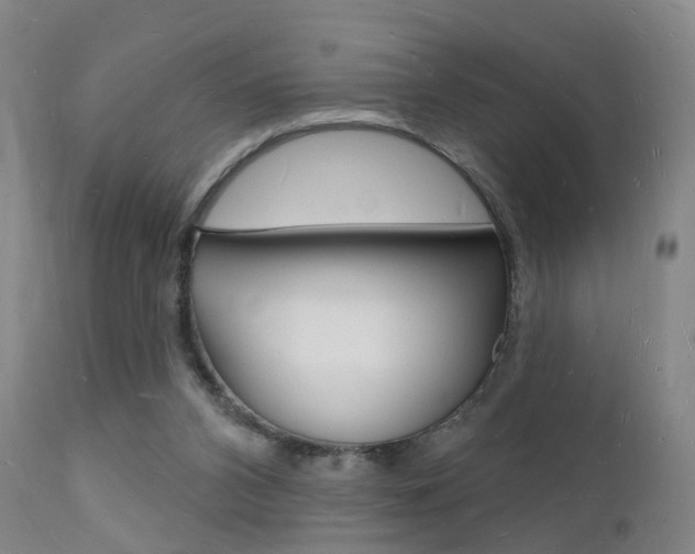 X0000112140112200908070948