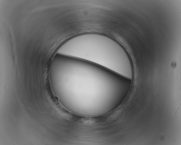 X0000112140113200908070948