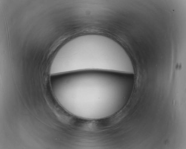 X0000112140116200908070948