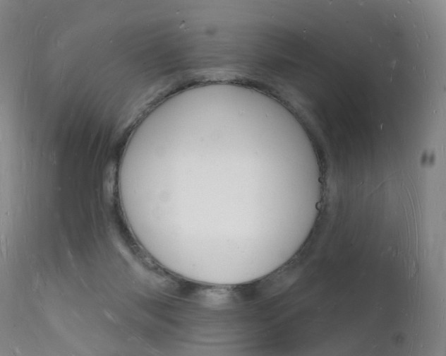 X0000112140118200908070948