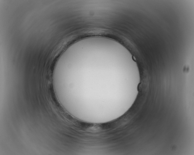 X0000112140119200908070948