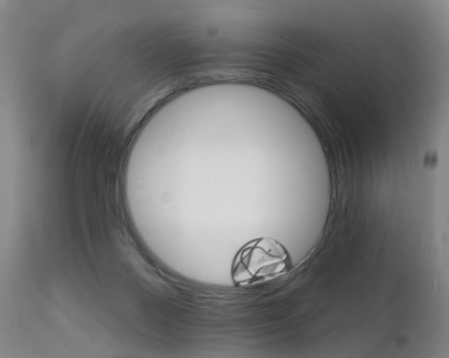X0000112140120200908070948