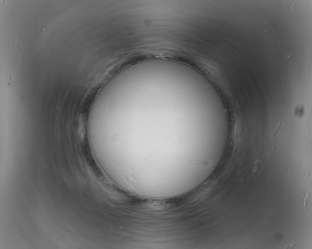 X0000112140121200908070948