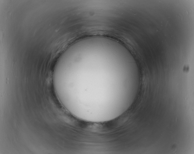 X0000112140125200908070948
