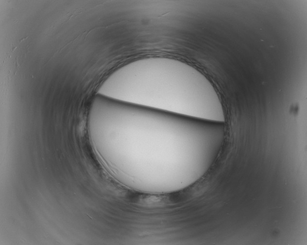 X0000112140129200908070948