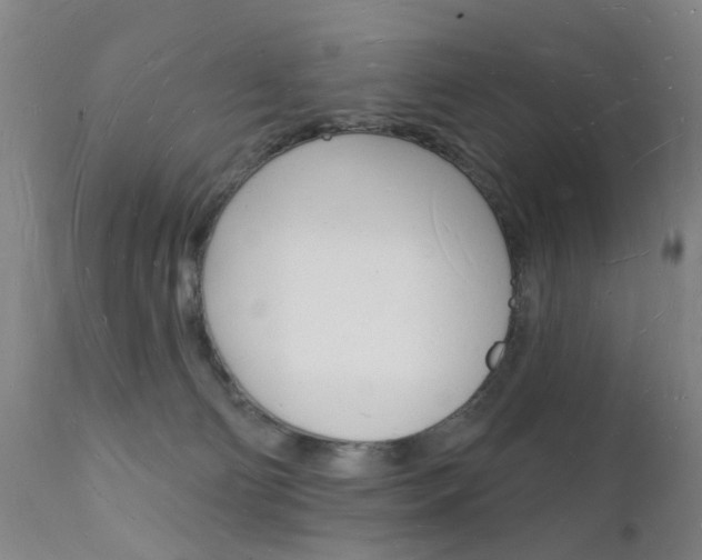 X0000112140130200908070948