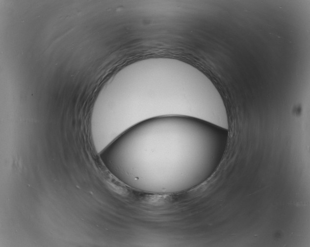 X0000112140136200908070948
