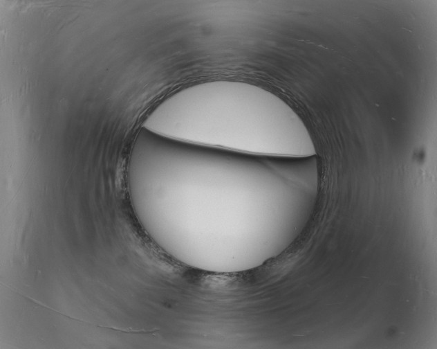 X0000112140139200908070948