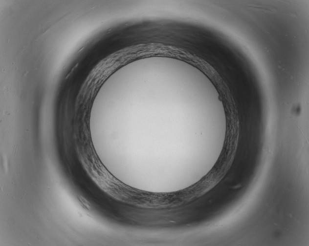 X0000112140142200908070948