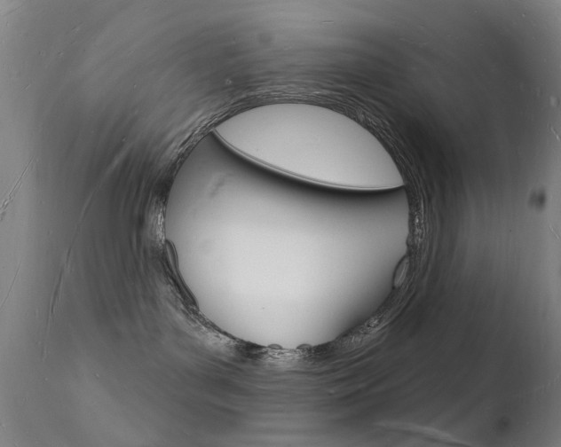 X0000112140143200908070948