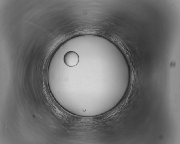 X0000112140145200908070947