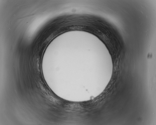 X0000112140146200908070947