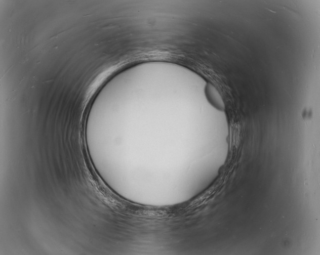 X0000112140147200908070947