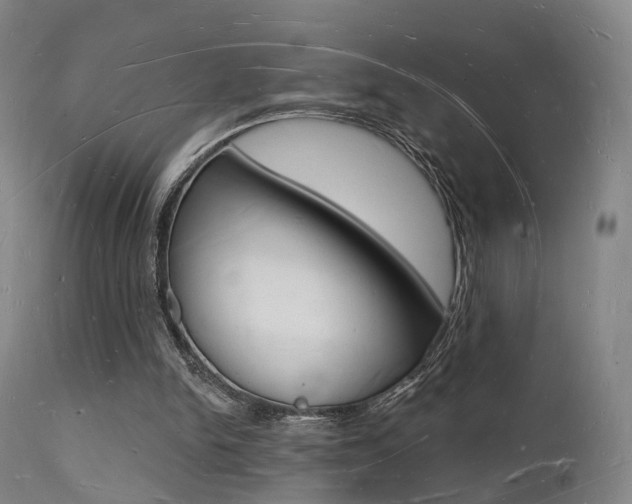 X0000112140150200908070947
