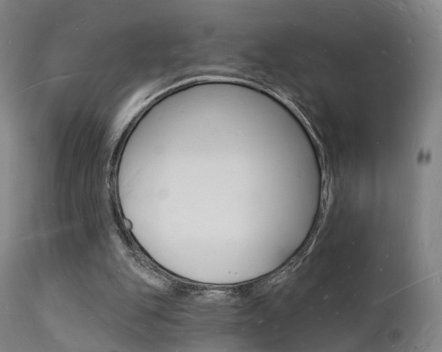 X0000112140151200908070947