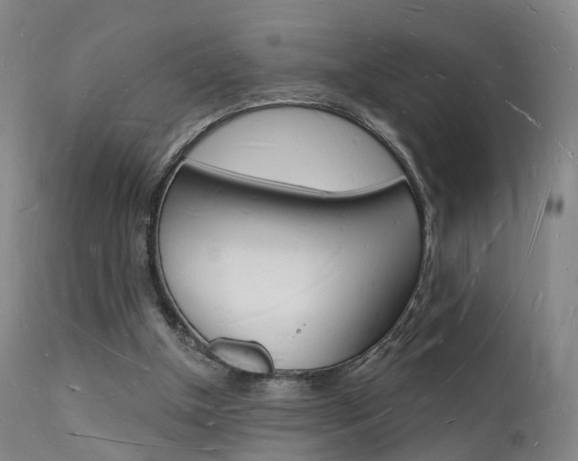 X0000112140154200908070947