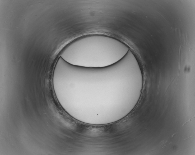 X0000112140155200908070947