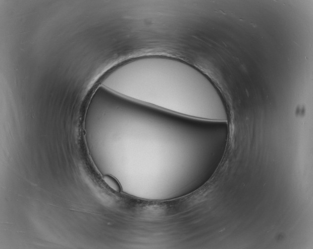 X0000112140156200908070947