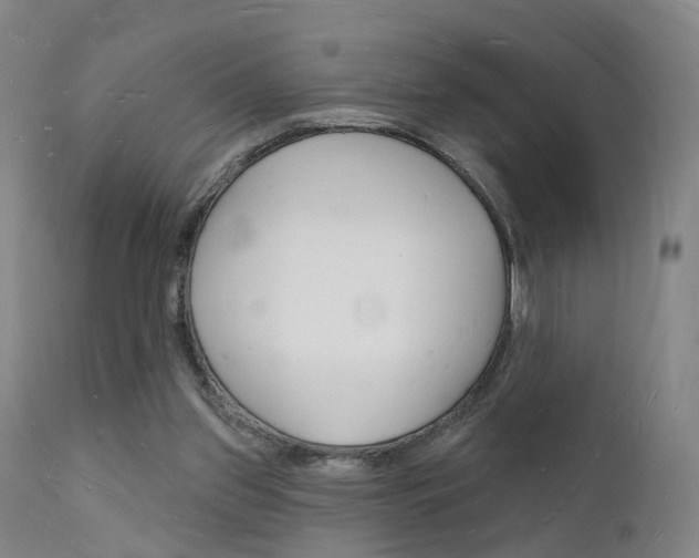 X0000112140157200908070947