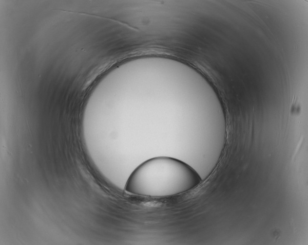 X0000112140158200908070947