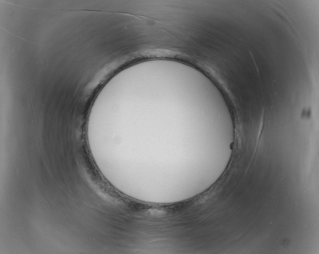 X0000112140159200908070947