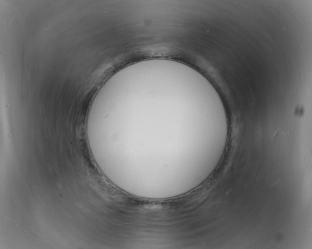 X0000112140161200908070947