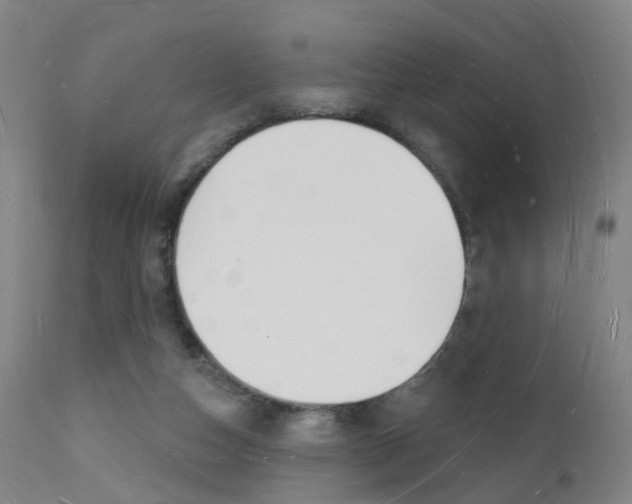 X0000112140162200908070947