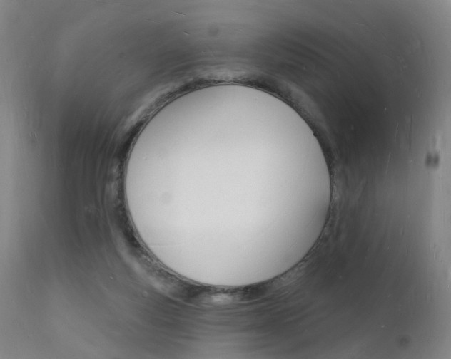 X0000112140163200908070947