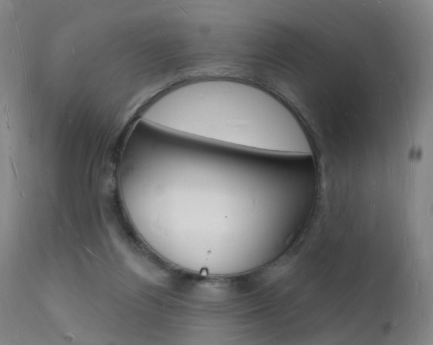 X0000112140164200908070947