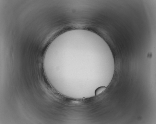 X0000112140167200908070947