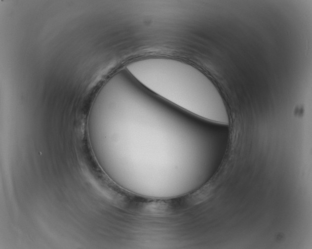 X0000112140168200908070947