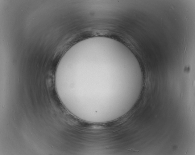 X0000112140169200908070948