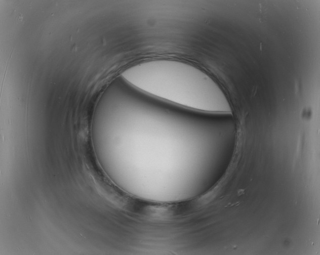X0000112140170200908070948