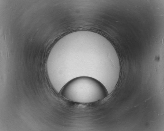 X0000112140180200908070948
