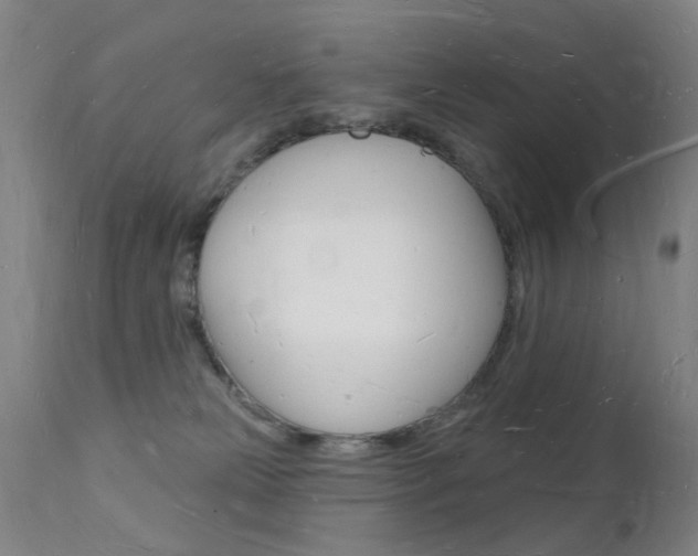 X0000112140181200908070948