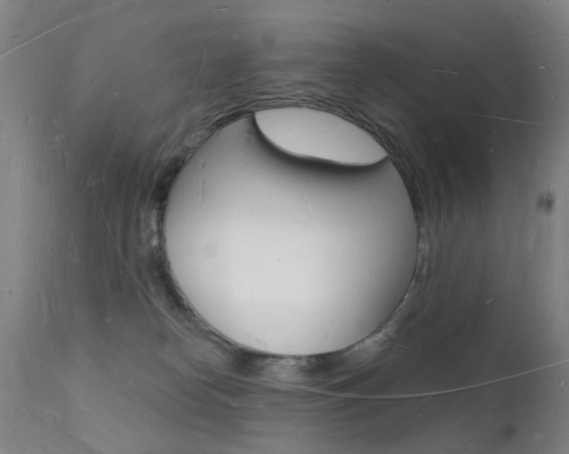X0000112140182200908070948