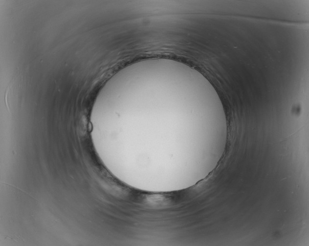 X0000112140183200908070948