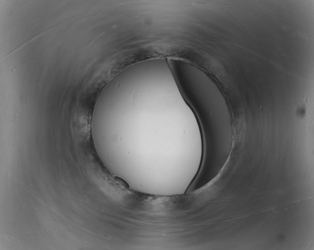 X0000112140186200908070948