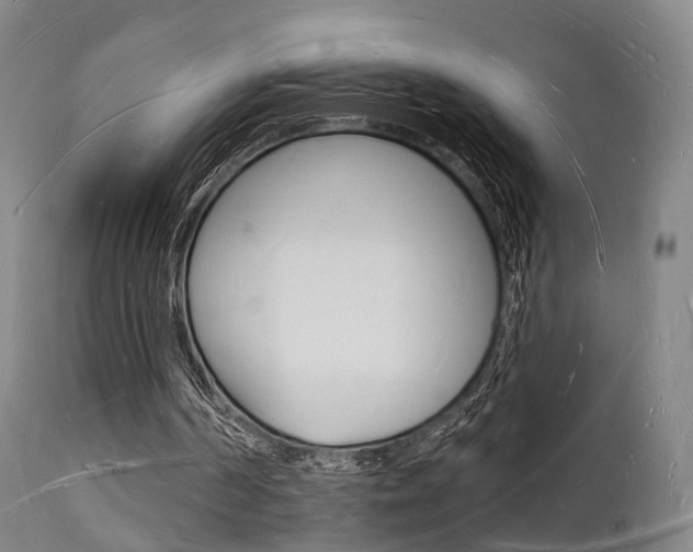 X0000112140194200908070947