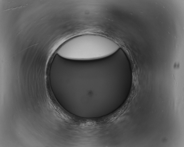 X0000112140196200908070947