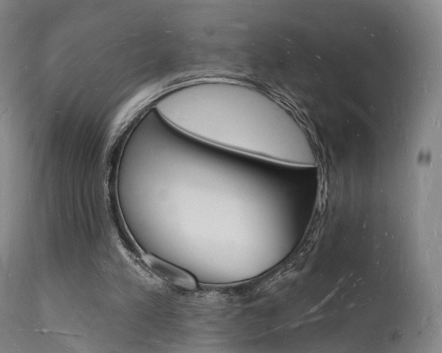 X0000112140197200908070947