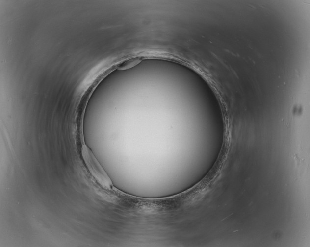 X0000112140199200908070947