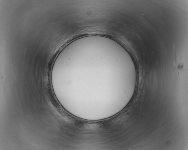X0000112140202200908070947