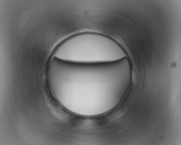 X0000112140204200908070947