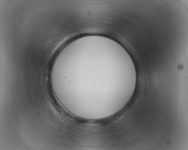 X0000112140208200908070947