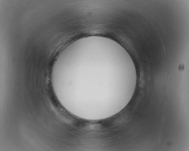 X0000112140210200908070947