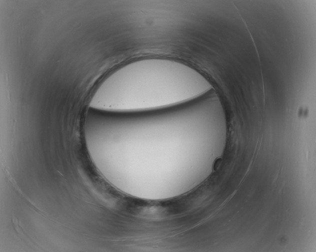 X0000112140212200908070947