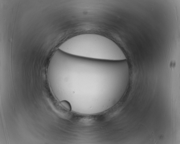 X0000112140213200908070947