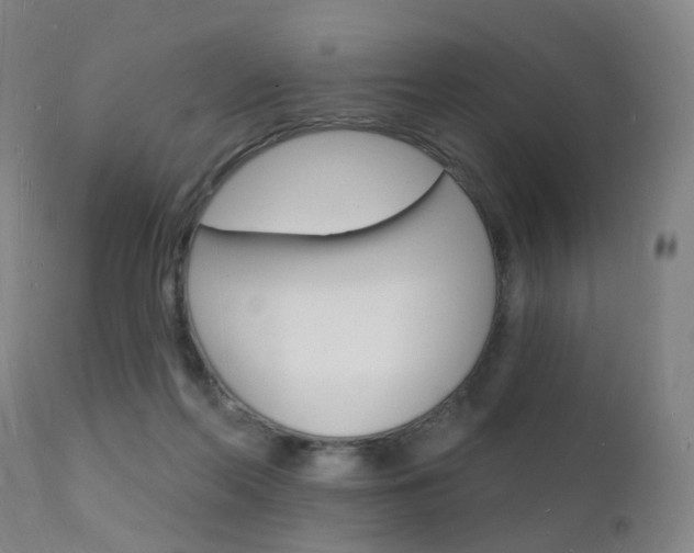 X0000112140214200908070947